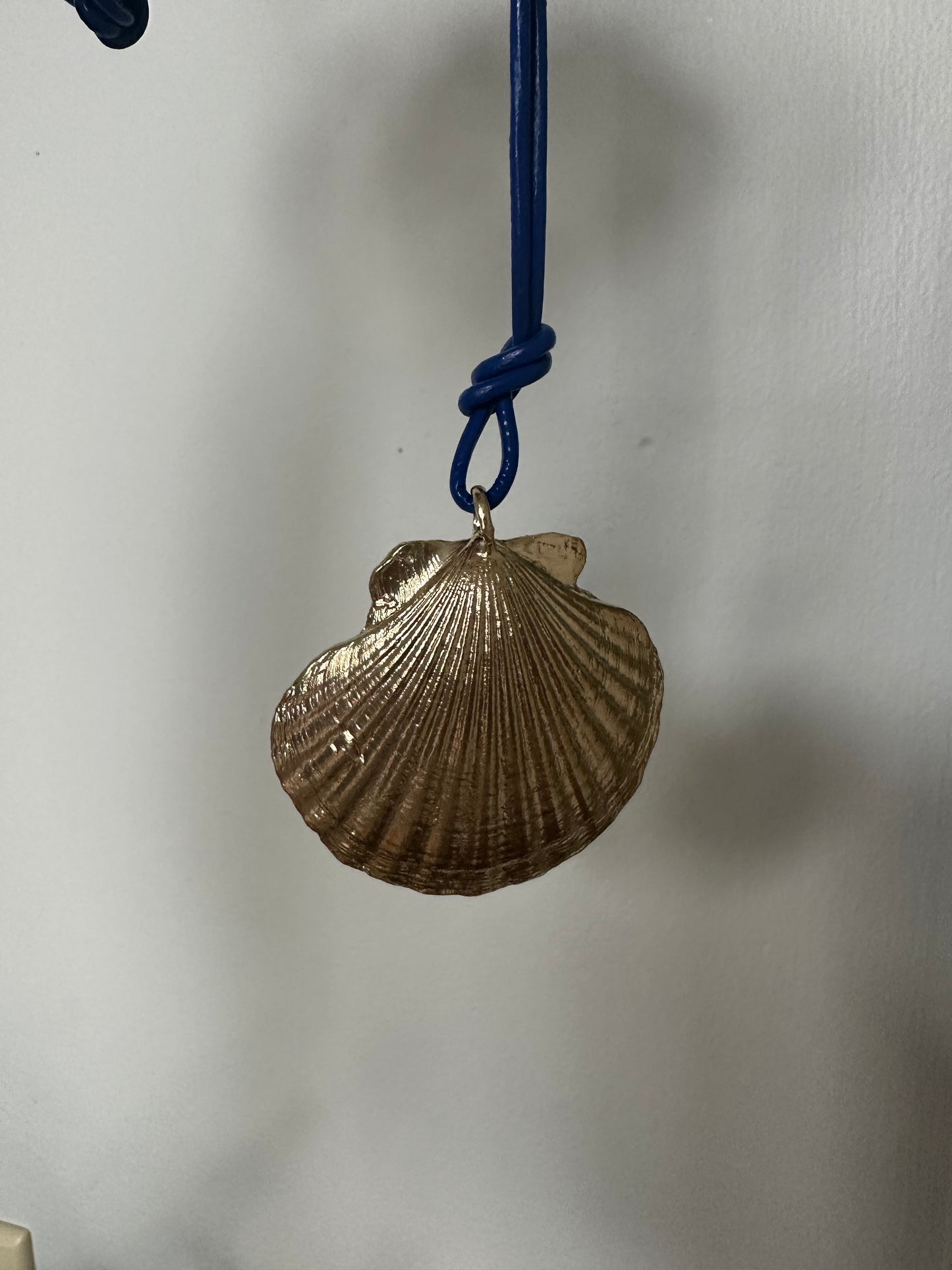 Scallop blue
