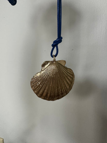 Scallop blue
