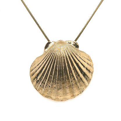 Scallop