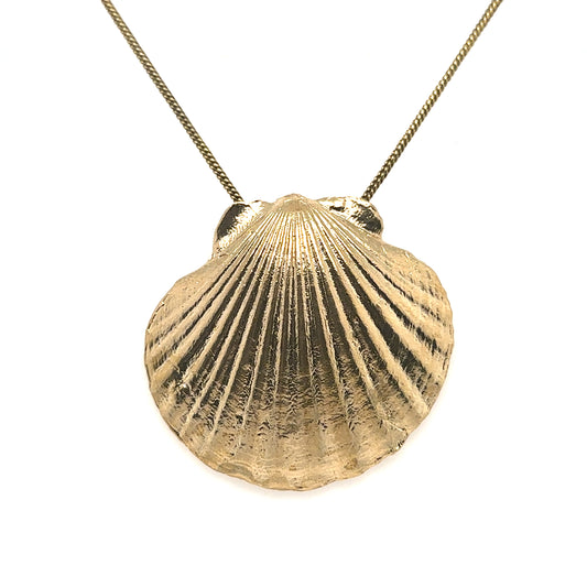Scallop